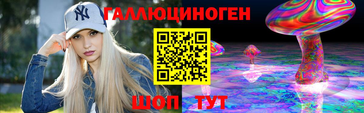 Курчатов  Галлюциногенные грибы мухоморы  Вход с VPN 