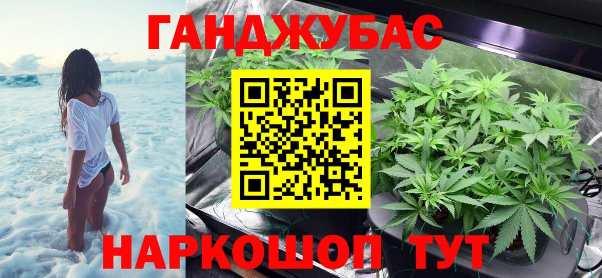 Курчатов  Конопля сатива  Вход с VPN  Каннабис планчик 